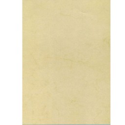 Papel Havana 100HJ Din A-4 90 g/m² Apli 11963