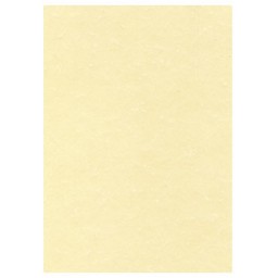 Papel pergamino champán 25HJ Din A-4 95 g/m² Apli SCL2058