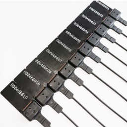 10 precintos urna electoral Archivo 2000 6158PNE