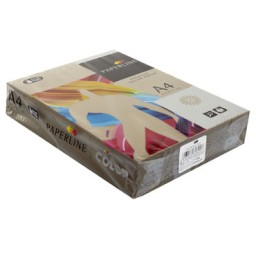 PQ500h papel marron - it 43a A4 80g Fabrisa 16971