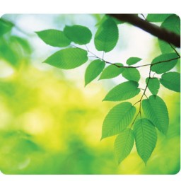 Alfombrilla reciclada hojas