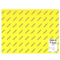 Paquete 120 cartulinas Iris colores vivos 185 g/m² 50x65 cm. Canson C612712003