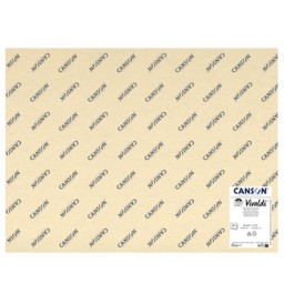 Paquete 120 cartulinas Iris colores pastel 185 g/m² 50x65 cm. Canson C612712004
